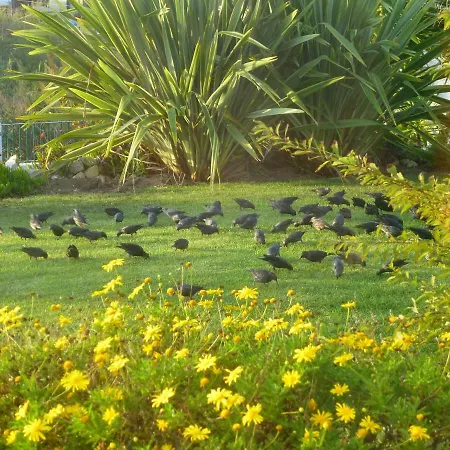B&B Quinta Dos Passarinhos